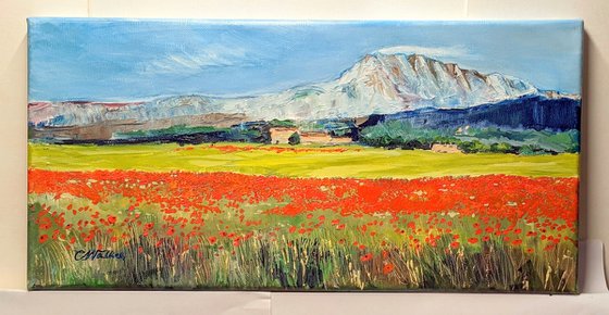 Temps de Coquelicot sous La Montagne Sainte-Victoire