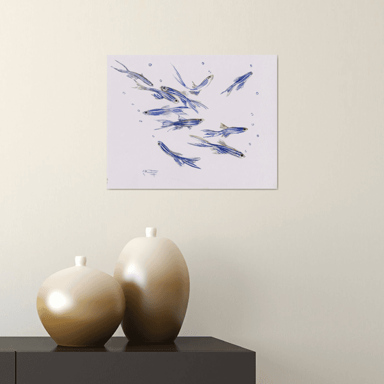 Danio, Zebrafish Aquarium art