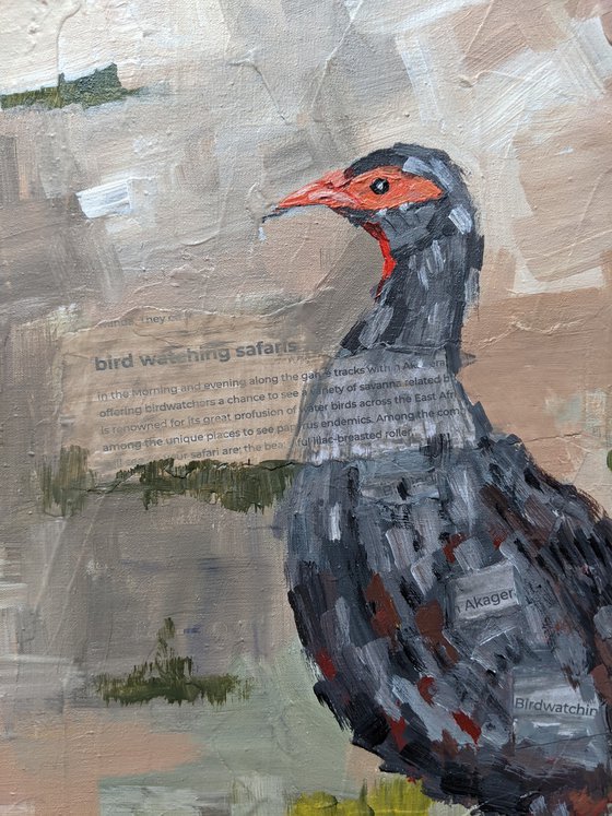 INKWARE (RED FRANCOLIN)