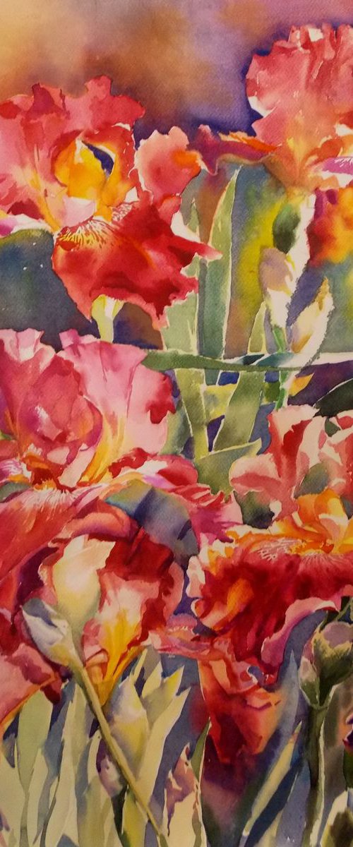 RED IRISES#2 by Yurii Pashkov