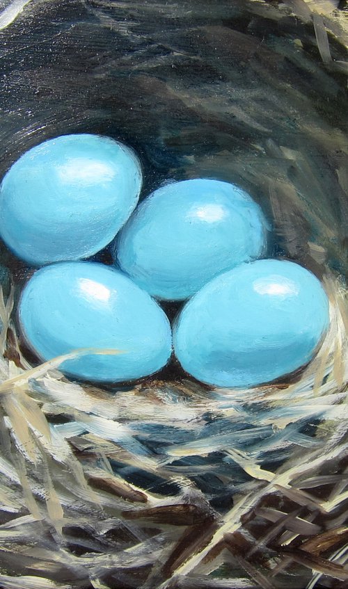 Dunnock's nest by Sophie Colmer-Stocker