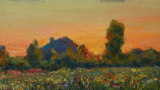 Sunset Over The Meadow