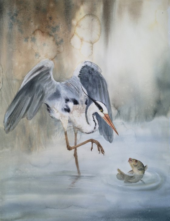 Grey heron & Carp