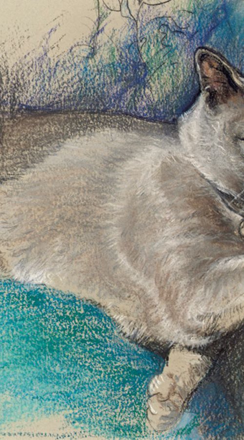 Gracie by Patricia Clements