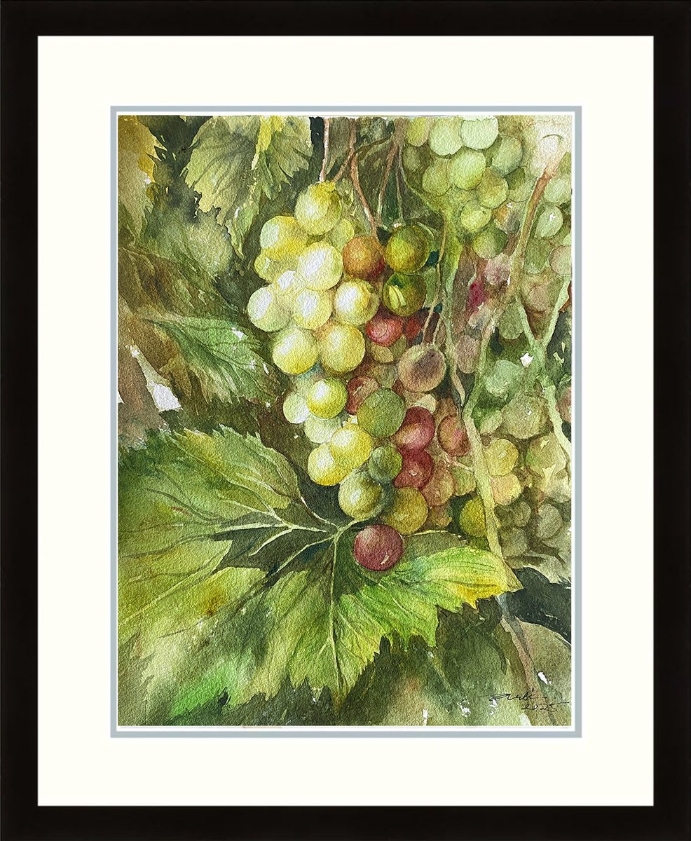 Photorealistic Botanical Watercolour By Arti Chauhan, 12 X 15, Grapes_ Green Gems, Original Artwork