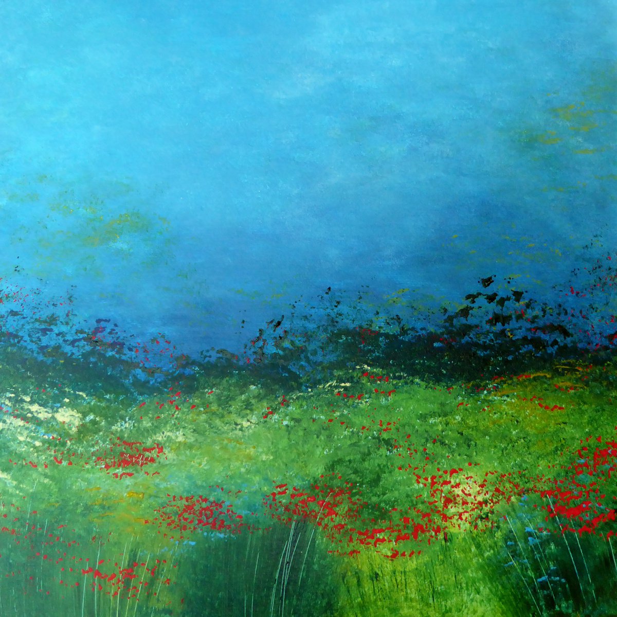  Evening Poppy Field By Elaine Allender, 16 X 16, Artwork For Sale On Artfinder
