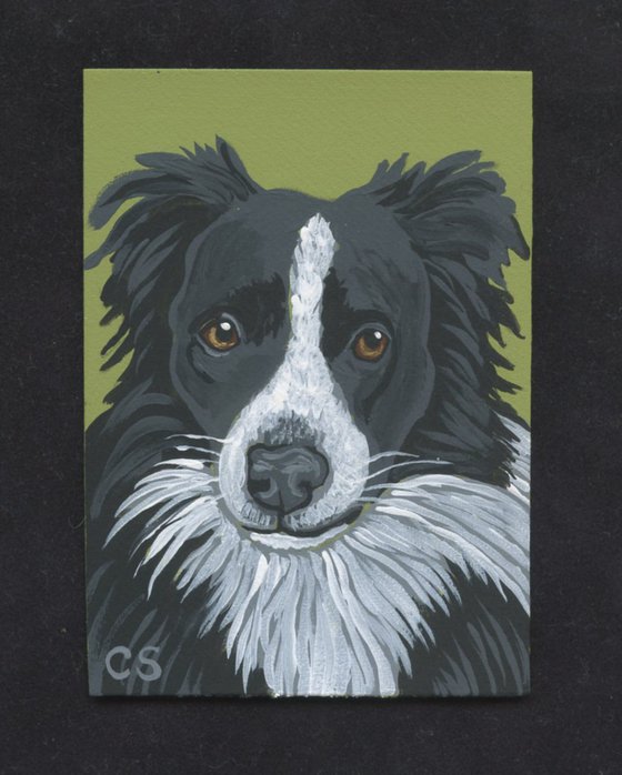 ACEO ATC Original Miniature Painting Black Border Collie Pet Dog Art-Carla Smale