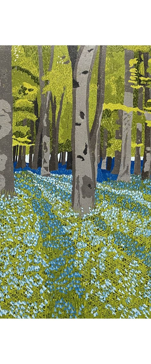 Bluebell Woods by Joanne Spencer