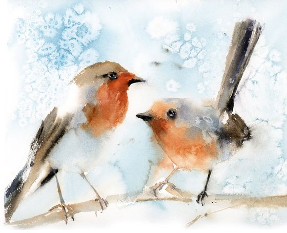 Robin Birds Couple