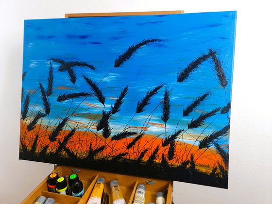 Sunset in the grass