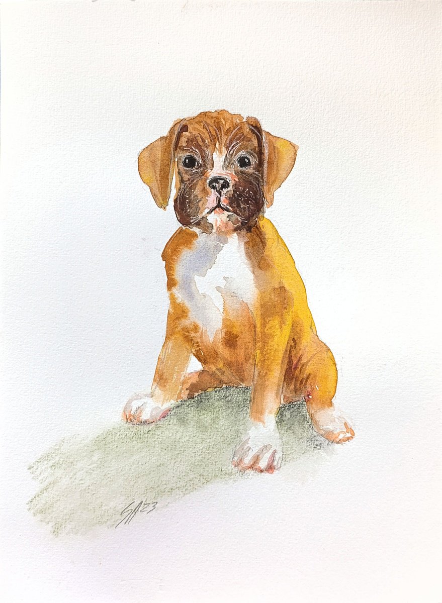 Impressionistic Animal Watercolour By Salana Art / Svetlana Samovarova, 8 X 11", Dog Ii, Original Artwork