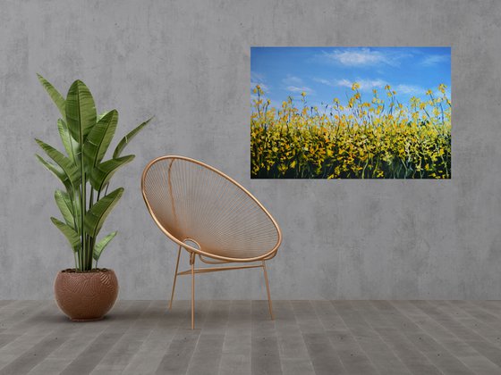 Canola Field in Ukraine