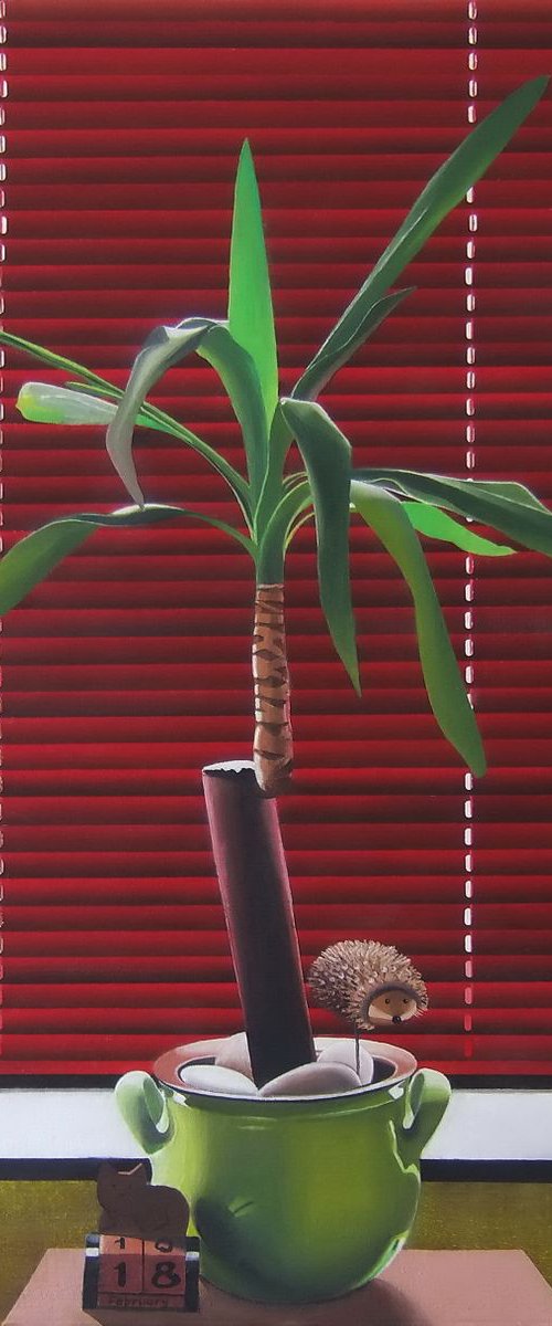 Yucca (Behind the Window) by Zoltan Till