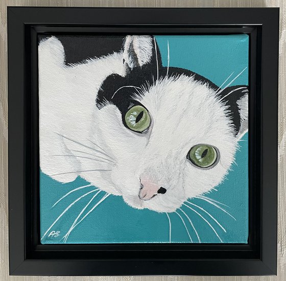 Cat custom portrait