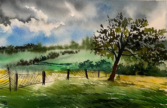 Apple tree at sunset,North France