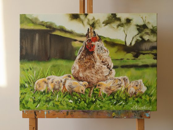 Mother Hen and Baby Chicks