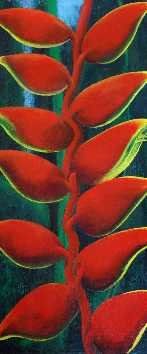 Heliconia Flowers by John N Mason