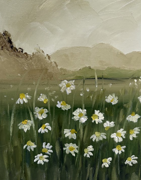 Wild daisies meadow on ochres horizon