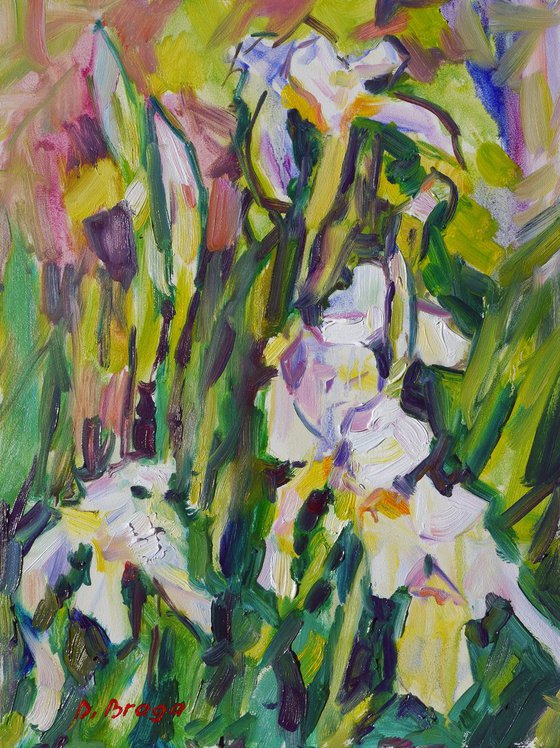 White irises, etude (plein air)