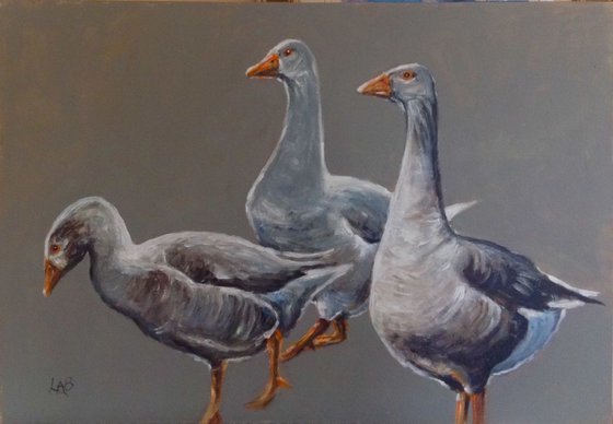 Three Geese