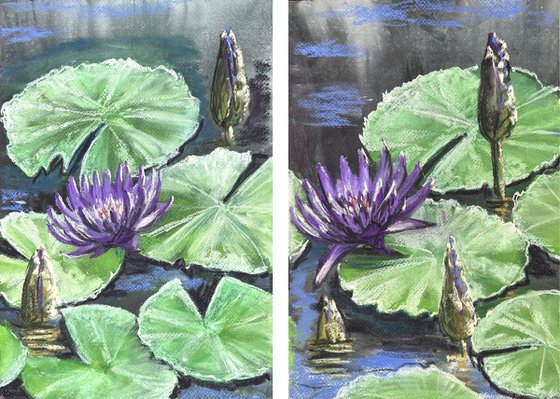 Waterlily Diptych Soft Pastel