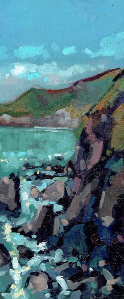Combesgate and Morte Point, Woolacombe by Louise Collis