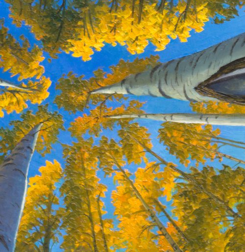 CELESTIAL BIRCHES 4 by Oleksii Vylusk
