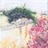 Old Farm & Rosebay Willowherb (framed) by Michele Wallington