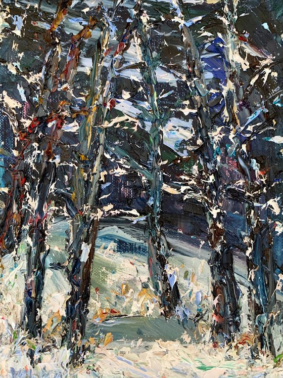 Forest at night