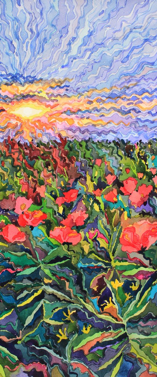 Poppies field by Tanbelia