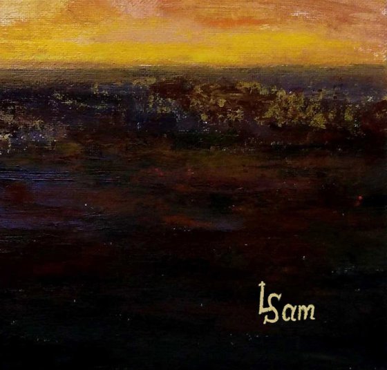 African egrets at sunset