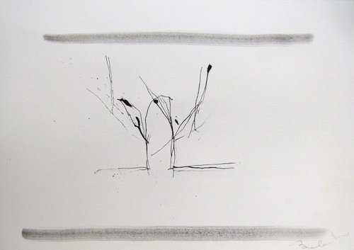 Splinters 1, 29x42 cm by Frederic Belaubre