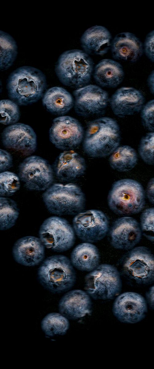 Blueberries by Paul Nash