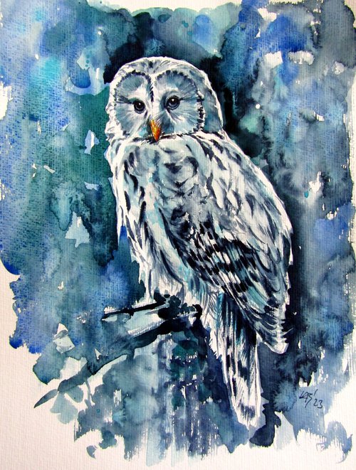 Owl in the forest by Kovács Anna Brigitta