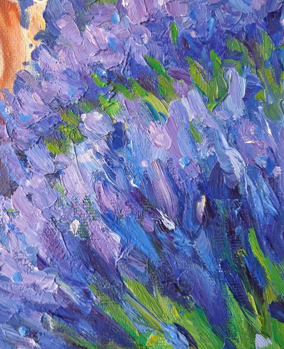 Enchanted by lavender