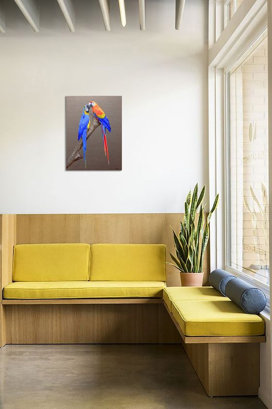 "Loving Macaws".