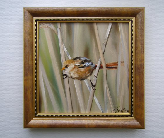 Bird Oil Painting Framed