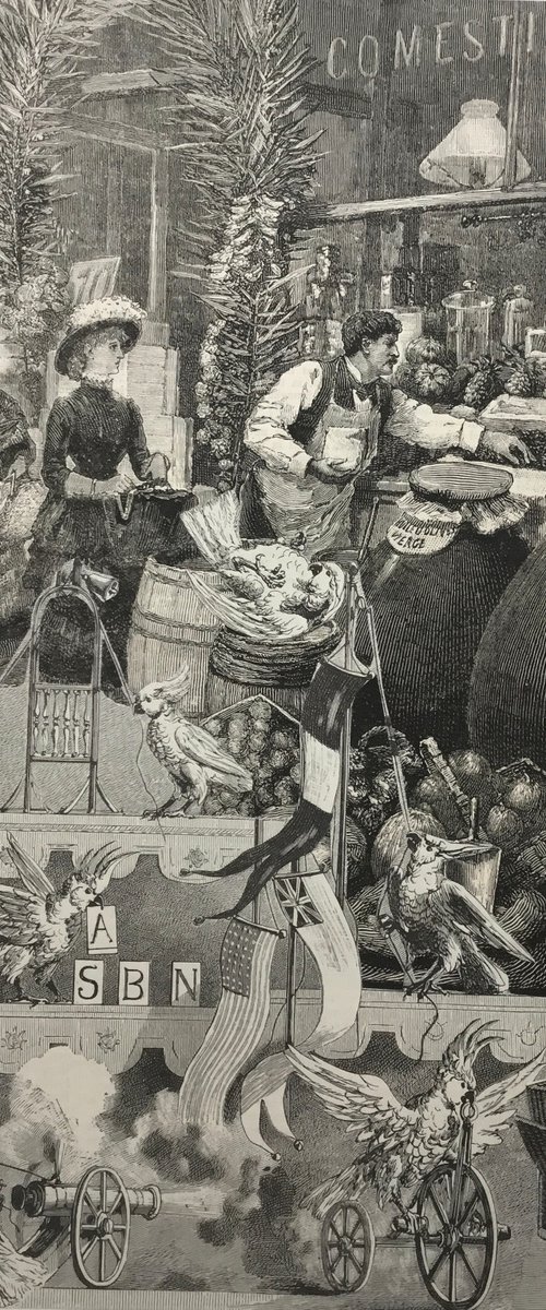 At the Grocer’s by Tudor Evans