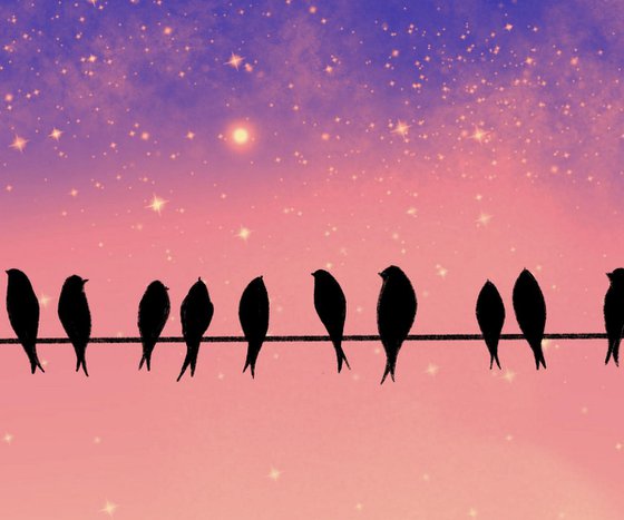 Birds on a Wire love birds