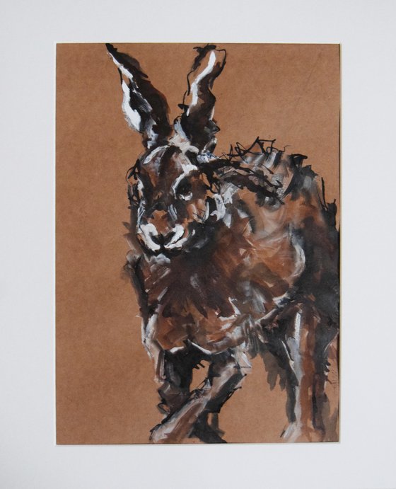 Hare Study