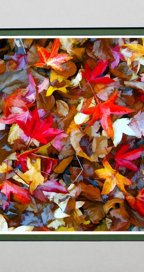 Autumn Carpet by Robin Clarke