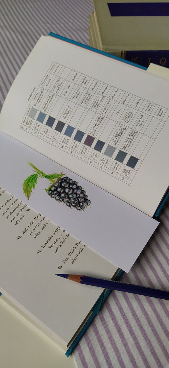 My Wild Berries as Bookmarks - The Blue Raspberry
