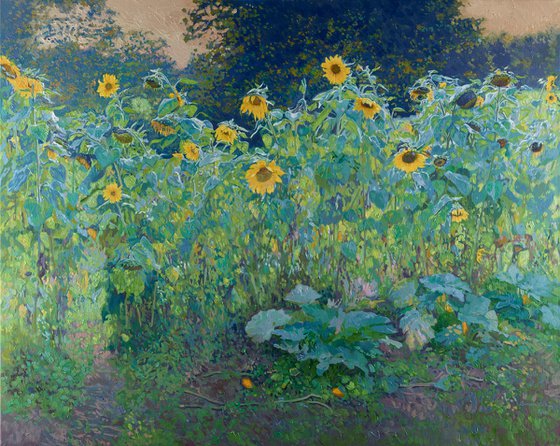 Sunflowers in Kolomenskoye