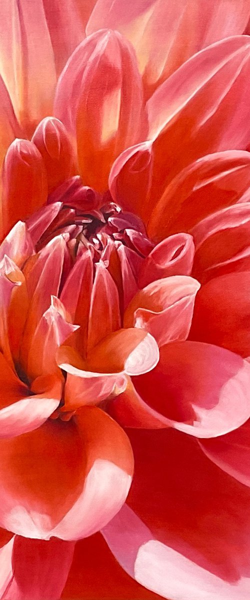 Radiant Bloom by Alla Kallass