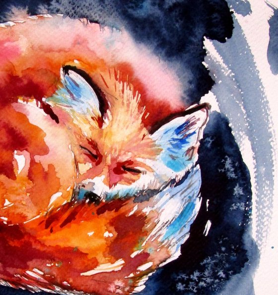 Sleeping red fox