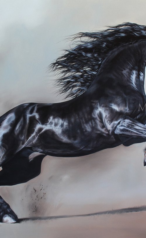Majestic black by Marie Madej