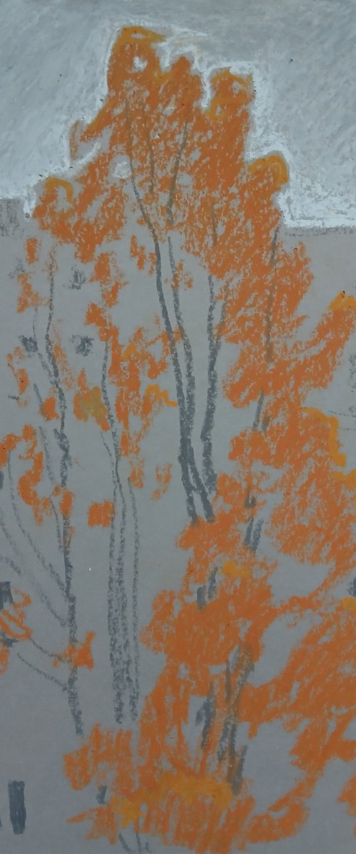 Raining by Vasyl Koval