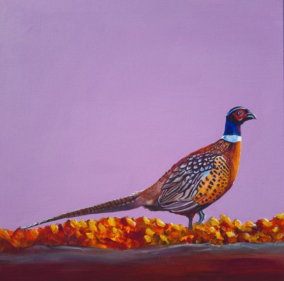 Autumnal Pheasant