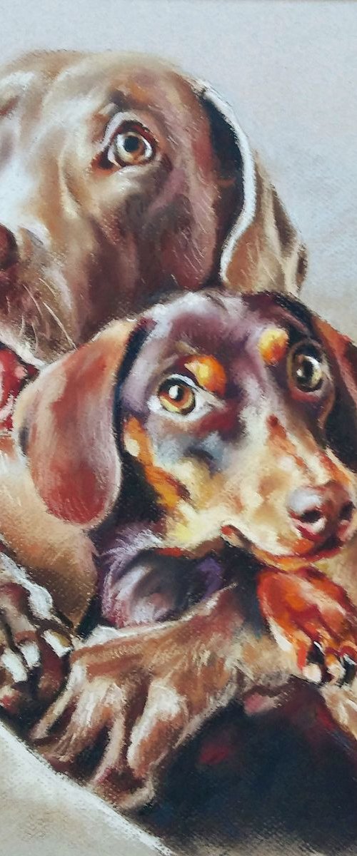 Funny puppies by Magdalena Palega