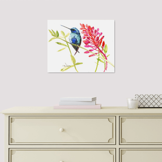 Hummingbird and pink coral red flowers